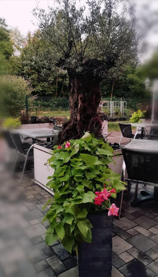 Au Hameau De L'Ecluse Proche Europa-Park Bed & Breakfast มาร์คกอลไซม์ ภายนอก รูปภาพ