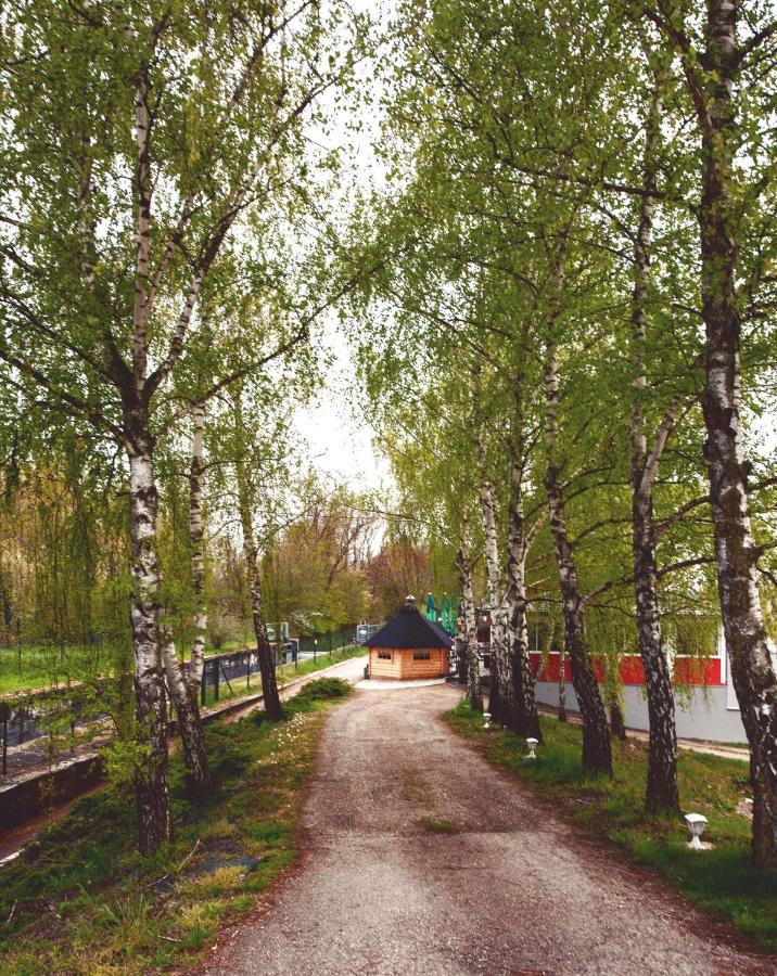 Au Hameau De L'Ecluse Proche Europa-Park Bed & Breakfast มาร์คกอลไซม์ ภายนอก รูปภาพ